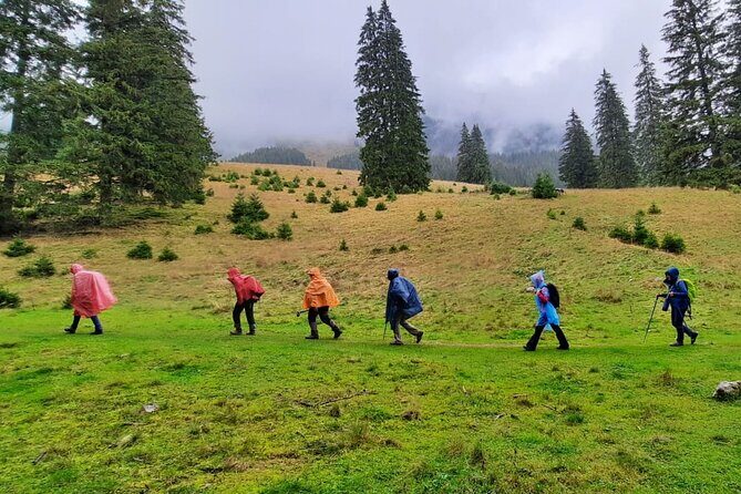 Pestera and Magura Full-Day Private Walking Tour from Brasov - Key highlights worth planning for