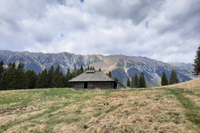 Pestera and Magura Full-Day Private Walking Tour from Brasov - How hard is it, really? Distance, elevation, and trail conditions