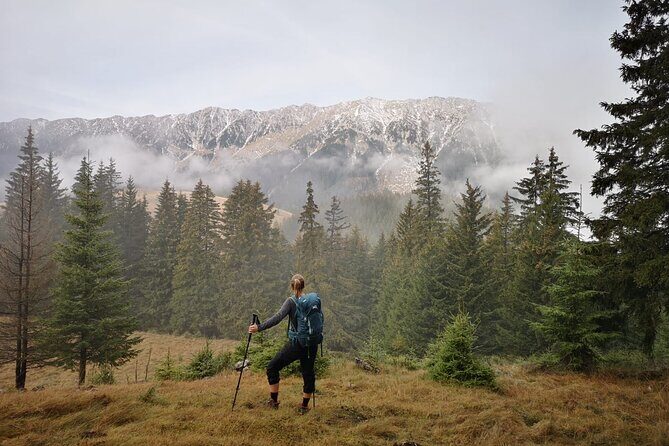 Pestera and Magura Full-Day Private Walking Tour from Brasov - Price and value from Brasov (is $103.45 worth it?)