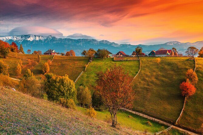 Pestera and Magura Full-Day Private Walking Tour from Brasov - The morning logistics: pickup, timing, and your private group rhythm