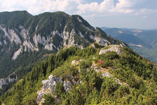 Piatra Craiului National Park Private Hiking Tour from Brasov - What you’ll do on the trail: gorges, pastures, and steep sections