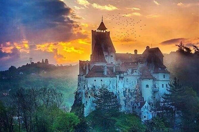 Private 4-Day Tour in Transylvania including Transfagarasan Road from Bucharest - Day 4: Bear Sanctuary near Piatra Craiului and the legends of Snagov Monastery
