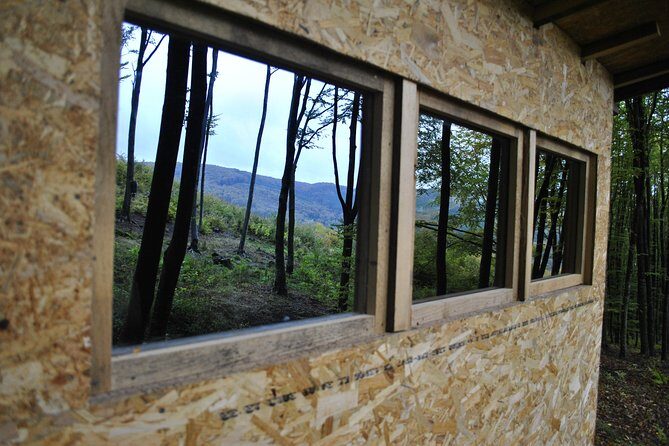 Private Brown Bear Watching Experience near Odorheiu Secuiesc - What you might see besides bears (and why it is still worth it)