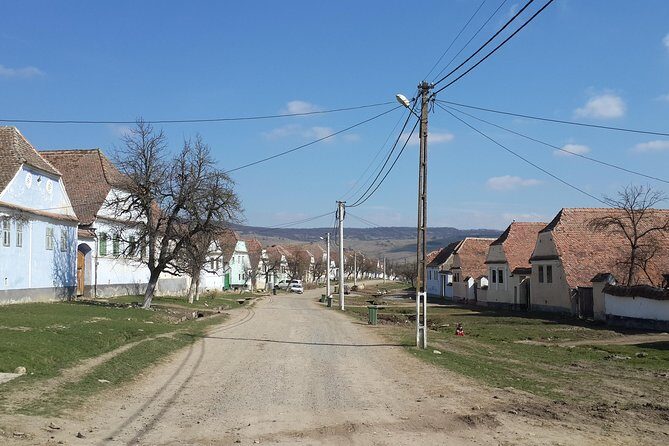 Private Day Tour Sighisoara and Viscri from Brasov with Hotel Pick Up/ Drop Off - Who this tour suits best