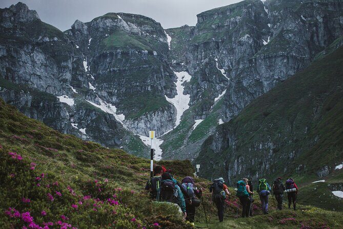 Private Hiking to Bucegi Natural Park from Brasov - From Brasov to Bucegi: what makes this day hike work