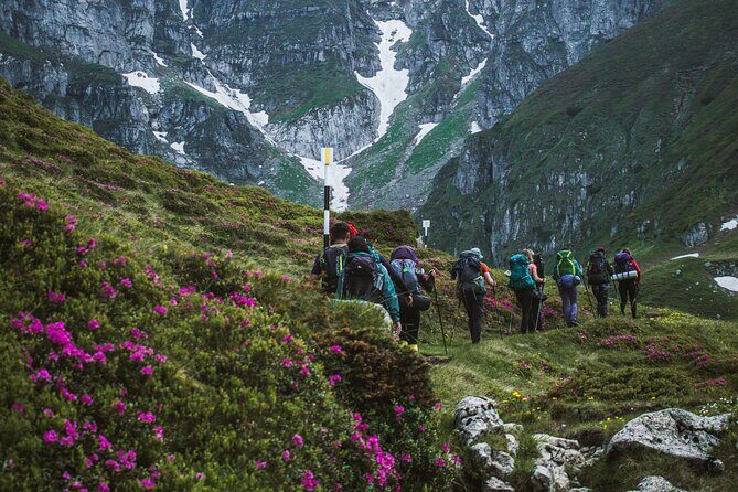 Private Hiking to Bucegi Natural Park from Brasov - FAQ