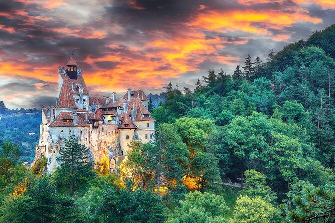 Private Movie Castles at Peles, Cantacuzino and Bran Castle Tour - Peles Castle: Art-and-Royal Details Plus Monday/Tuesday Reality