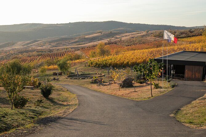 Private Tasting Expedition Along Romania’s Most Famous Wine Route - Key things to know before you go