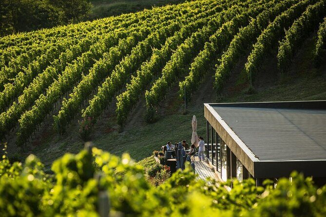 Private Tasting Expedition Along Romania’s Most Famous Wine Route - Pickup, timing, and how an 8-hour wine day in Bucharest works