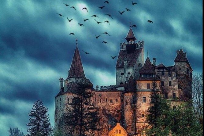 Private tour to Bran Dracula's Castle and Peleș Royal Castle - Timing, comfort, and the 10-hour reality check