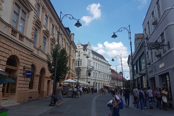 Private Tour to Discover Sibiu and Sighisoara - Brukenthal Museum and the kind of indoor stop that fits a morning