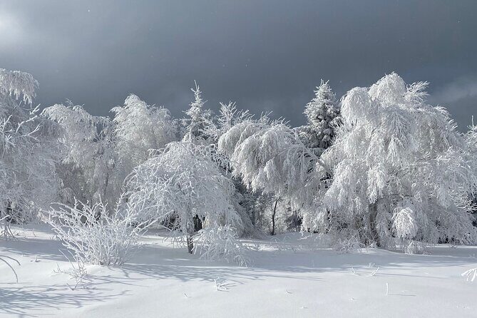 Rambling in Transylvania - Sirnea: The First Village Stop Sets the Mood