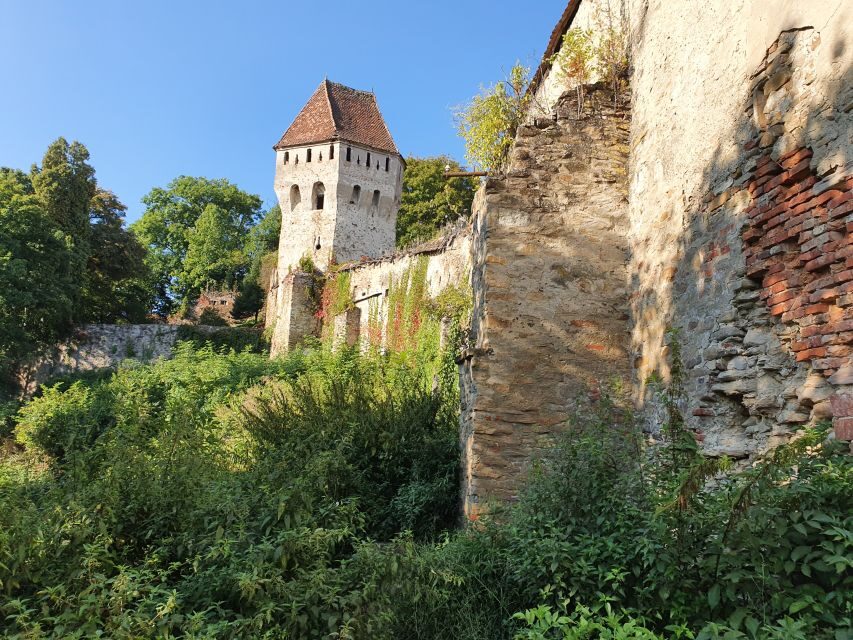Real Dracula Princely Court and Real Dracula's Fortress - Vidraru Dam: a necessary breath between fortress and fortress