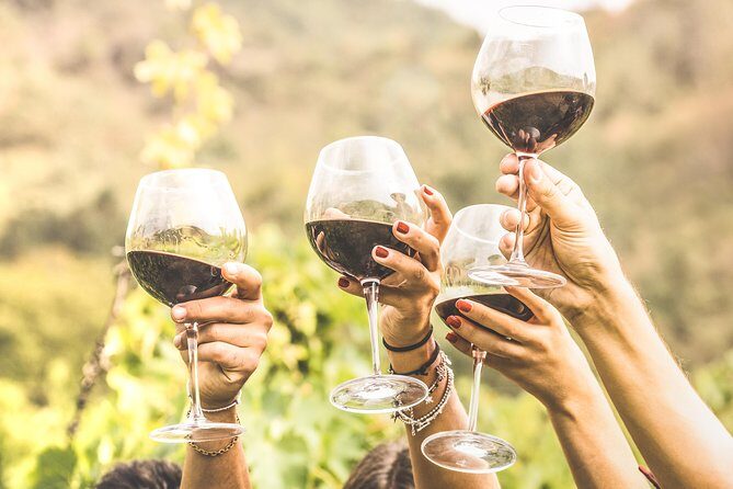 Romanian Wine Tasting - Key Highlights You’ll Really Feel