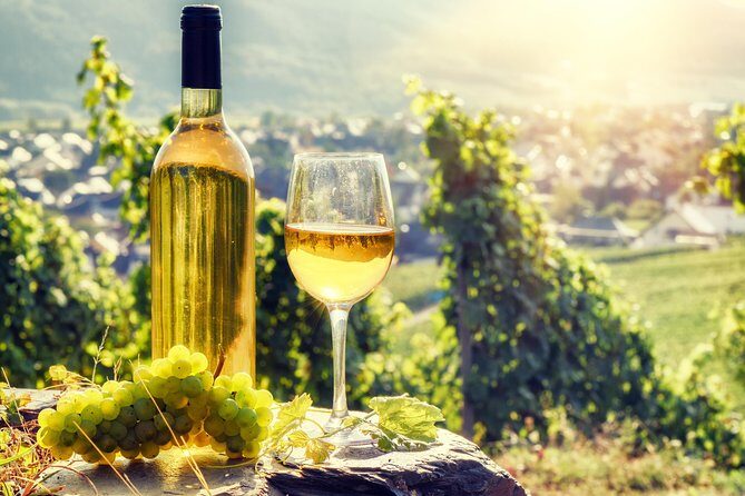 Romanian Wine Tasting - Two Wineries, Two Moods: LacertA’s Story vs Budureasca’s Etiquette
