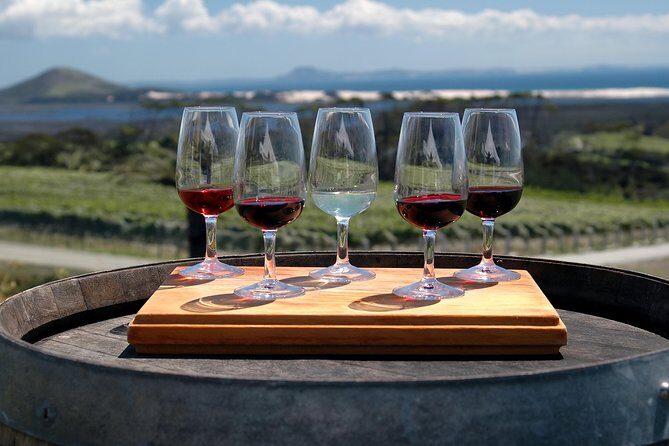 Romanian Wine Tasting - Who This Bucharest Wine Tasting Trip Fits Best