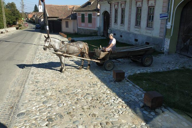 Saxon Heritage in Transylvania: Day Trip from Cluj-Napoca - Cristian fortified church: Saxon community life in UNESCO territory