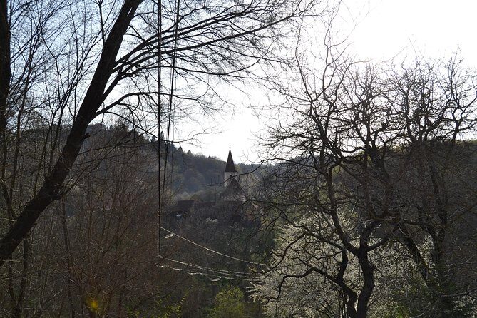 Saxon Heritage in Transylvania: Day Trip from Cluj-Napoca - The guide factor: George and Andrei can make or break the vibe