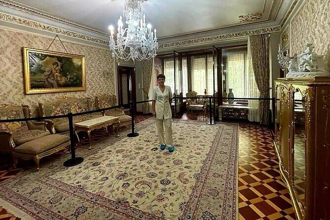 Skip-the-line tickets to Ceausescu Mansion - Guided Tour - Ceaușescu Mansion: what you’re really walking into