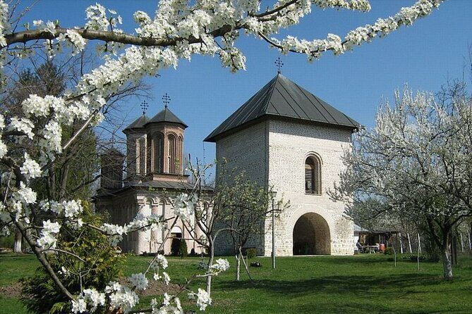 Slanic Salt Mine & Dracula's Grave - Private Tour from Bucharest - Lunch is not included: a simple way to handle it