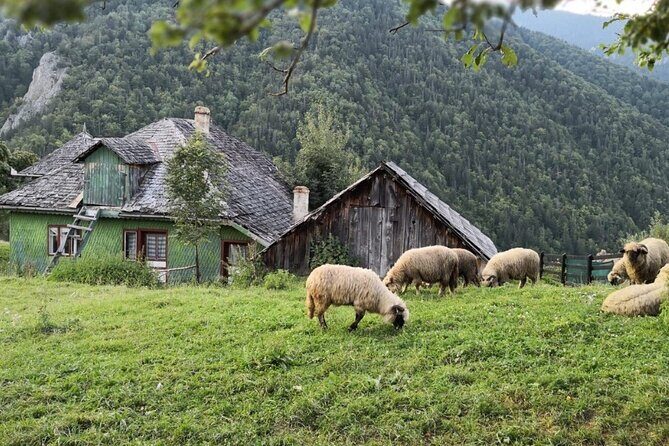 Slanic Salt Mines & Village Charms: Bucharest Day Escape - Slanic Salt Museum: underground chambers, sculptures, and what you’ll actually learn