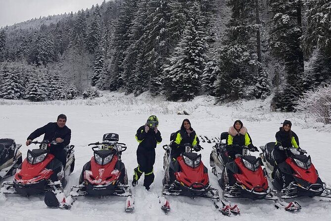 Snowmobiles, Sky Lift & Winter Sports - Private Tour - Snowmobiles in the forest: the part you came for