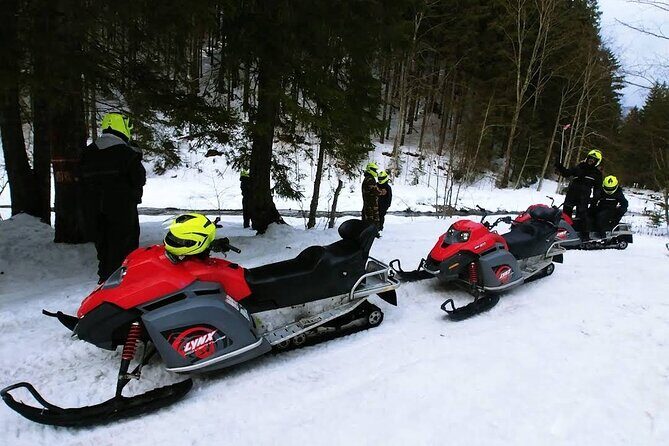 Snowmobiles, Sky Lift & Winter Sports - Private Tour - How the one-hour snowmobile rental fee works (and how to budget)