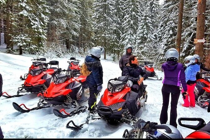 Snowmobiles, Sky Lift & Winter Sports - Private Tour - The guide factor: English support and the right rhythm