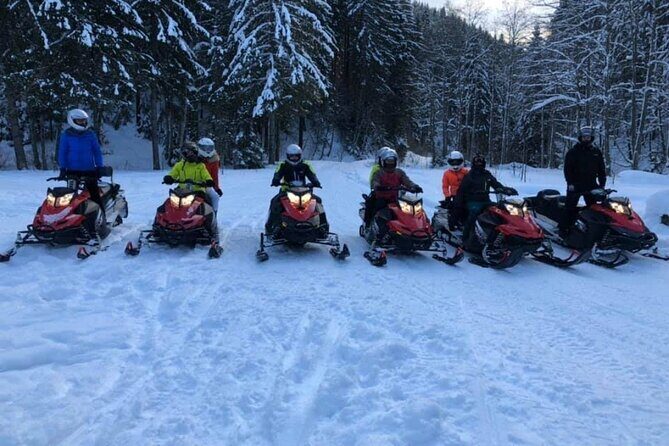 Snowmobiles, Sky Lift & Winter Sports - Private Tour - Private tour comfort: pace, attention, and group decisions