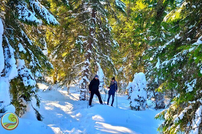 Snowshoeing Fun Tour from Cluj Napoca - Getting there and what the 8:00 am start really means