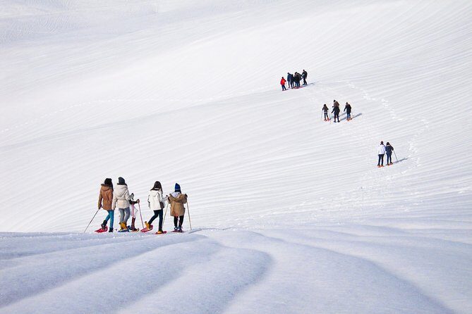Snowshoeing Fun Tour from Cluj Napoca - The Great Mountain walk: views, deep forest, and hot-drink breaks