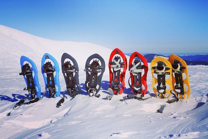 Snowshoeing Fun Tour from Cluj Napoca - What you learn on the trail: plants, animals, geology, and culture