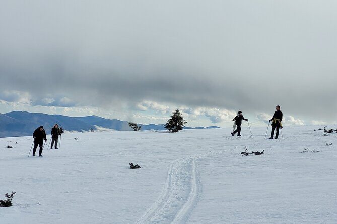 Snowshoeing Fun Tour from Cluj Napoca - Timing, pacing, and comfort for a 6-hour winter day
