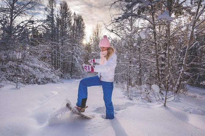 Snowshoeing Fun Tour from Cluj Napoca - Who should book this snowshoeing fun tour—and who might not