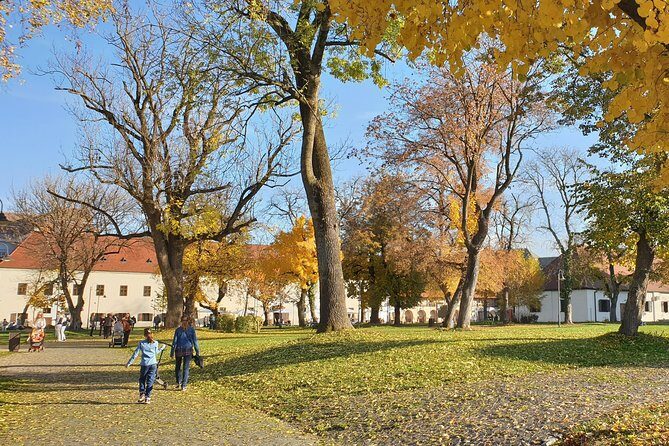 Targu Mures 3 hours walking tour - Price, guide value, and how to plan for entrance costs