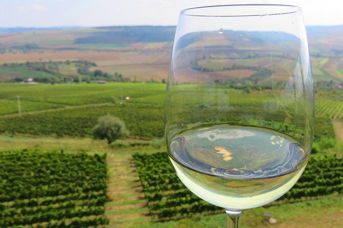 The wine route by bike - Quick hits