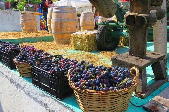 The wine route by bike - Why a bike wine route works better than a car day