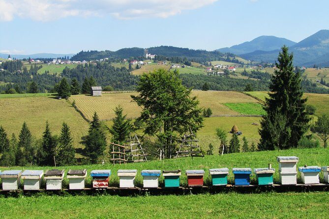 The wine route by bike - Snacks, water, photos, and car backup: the comfort details