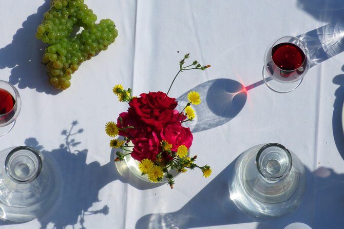 The wine route by bike - Price and what you truly get for about $114
