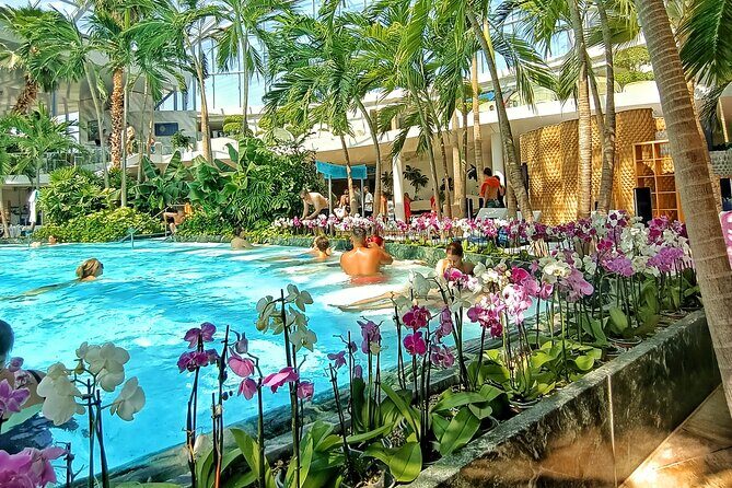 Therme Bucharest Tickets and Water Theme Park - Therme Bucharest’s three-zone layout: GALAXY, PALM, ELYSIUM
