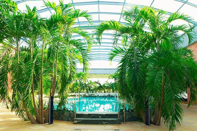 Therme Spa Ultimate Experience | Transfer - Full Access All Areas - Full Access Means Three Zones: Galaxy, Palm, and Elysium