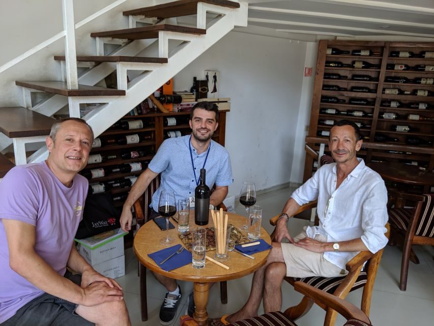 Traditions in Bucharest: Village Museum and Wine Tasting - The 1936 National Village Museum and Regional Architecture You Can See