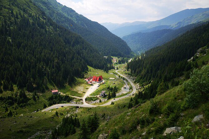 Transfăgărășan Highway & Balea Lake - Private Tour from Bucharest - Wildlife moments: bears are possible, but your job is to stay calm