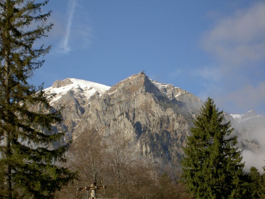 Transylvania: Cultural Full-Day Trip by Minivan - Sinaia and Peles Castle: Why This Royal Stop Is Worth the Time