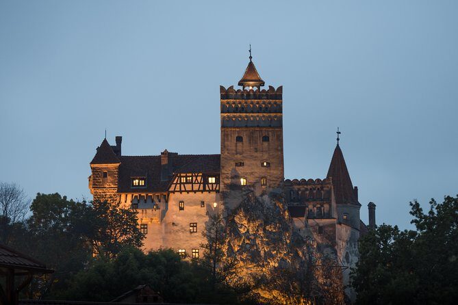 Transylvania with Dracula Castle, Bear Sanctuary and Brasov - Liberty Bear Sanctuary (Zărnești) and the Teddy Bear Museum