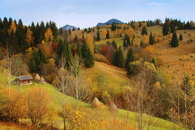 Two days tour to Bucovina & UNESCO Painted Monasteries - What’s Included: The Stuff That Saves You Time and Money