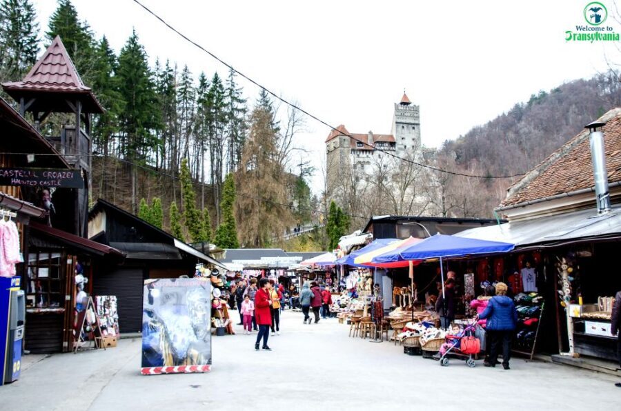 Visit Bear Sanctuary and Bran Castle from Brasov - LiBEARty Bear Sanctuary: Wildlife Welfare, Not a Theme Park