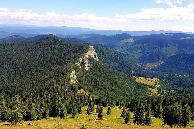 Vladeasa Peak and Bride's Waterfall Day Hike - From Cluj-Napoca to Rogojel: your 8:00 am start and Sequoia pause