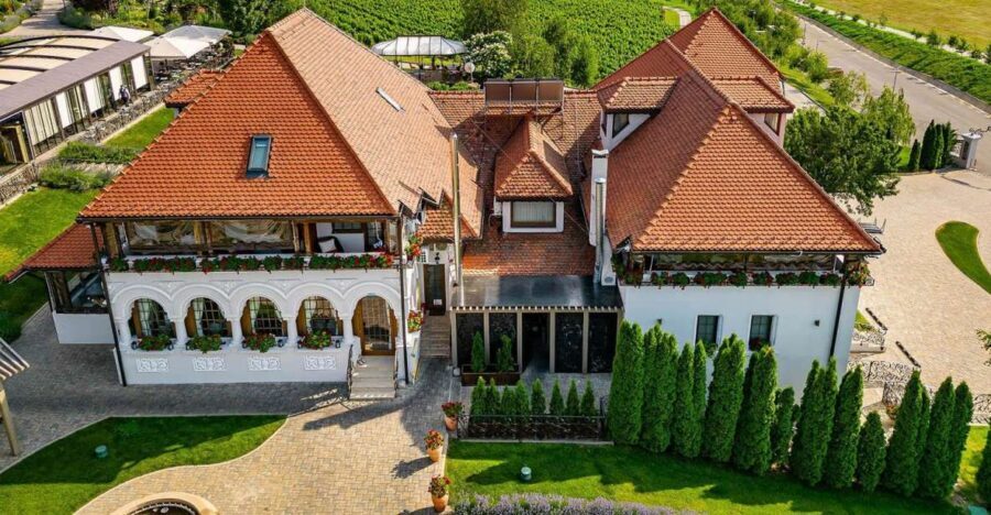 Winery touring & private wine tasting - one day private tour - Dealu Mare-style wine road: why this day trip works